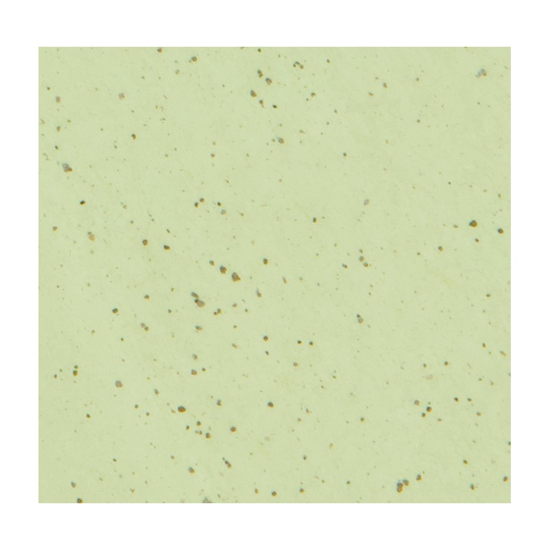 Nellic Daily Soft Green Tea Oil-Absorbing Sheets, 100 Sheets per