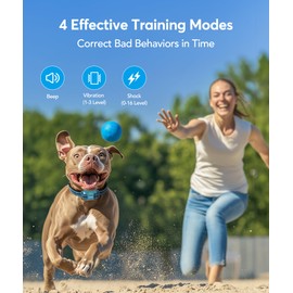 Jugbow Dog Shock Collar - 4200FT Dog Training Collars with Remote, IPX8 Waterproof E-Collar with 4 Training Modes, Security Lock, Rechargeable ShockCollar for Dogs 5-120lbs