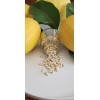 Tree 10 Meyer Lemon Seeds Organic 🍋 Freshly Harvested 01/25