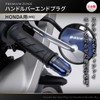 Daytona 99721 Premium Zone Motorcycle Bar End for Honda (M6)
