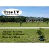 Tree I.V. DIY Root Seeker 10-pk w/Plugs & Drill |