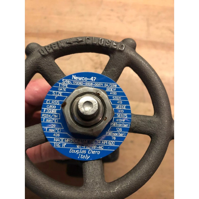Newco 1" Class 800 Cast Iron Gate Valve 47 18X-FS2-RP-NC-
