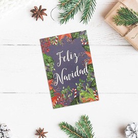 Feliz Navidad Christmas Cards Assortment with Envelopes, 6 Festive Designs (4 x 6 In, 48 Pack)