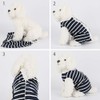 Due Felice Dog Diapers Period Suit for Female Dog Sanitary
