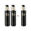 Concentrate 2025년 프리미엄 데미지케어 컨센트레이트 120ml 3개 2025 Premium Damage Care Concentrate 120ml 3 Pieces [Premium Damage Essence 120ml (3 pieces)]