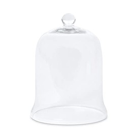 Glass Cloche Bell Jar - Plant Terrarium - Centerpiece Dome Display (12.5" x 9")