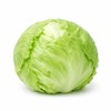 Crisphead Iceberg Lettuce Seeds – Compact Round Heads with Crisp