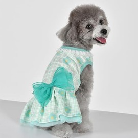 Pinkaholic New York Spring/Summer Sophie Dog Dress Trendy Fashionable Cute Dog Apparel, Mint, Medium