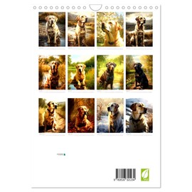 Der Labrador (Wandkalender 2026 DIN A4 hoch), CALVENDO Monatskalender: Der Labrador - Der beliebte Familienhund (CALVENDO Tiere)