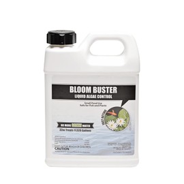 Bloom Buster Algae Control for Fish Ponds & Water Gardens - 32 Ounces - Safe for Koi Fish, Goldfish & Plants - Controls Algae in Ponds & Water Features, EPA Registered