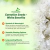 Outsidepride White Carnation Seeds - 2000 Pcs Biennial, Easy to