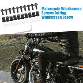 A ABSOPRO M5 Motorcycle Fairing Windscreen Screw Titanium Tone (Set of 10)