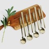 Queensense Titanium Premium Longevity Turtle Cutlery Set for 4, Spoons