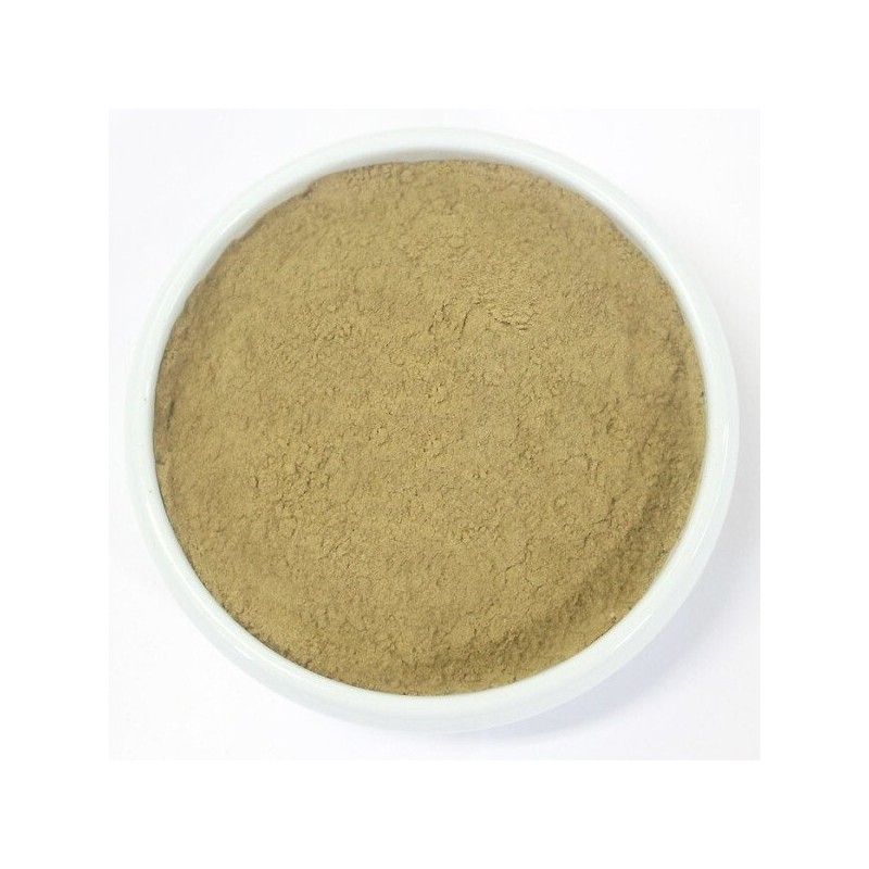 측백 분말 가루 300g 국산 국내산 Cypress Powder 300g Domestic
