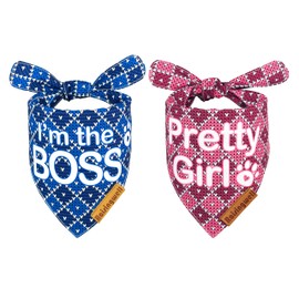 Raisingwell Birthday Dog Bandanas 2 Pack, 4 Pattern Reversible Blue and Pink Dog Bandana for Boy and Girl Dog Triangle Scarf for Medium to X-Large Breed Dogs Dog Birthday Gift (Large)