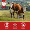 Aufschnitt Grass Fed Beef Jerky - Low Sodium, Certified Kosher