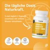 Casida® Schwarzkümmelöl Kapseln kaltgepresst -natürlich- 1650 mg Linolsäure und 60