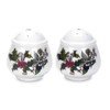 Portmeirion Home & Gifts Salt & Pepper Set, Ceramic, Multi-Colour,