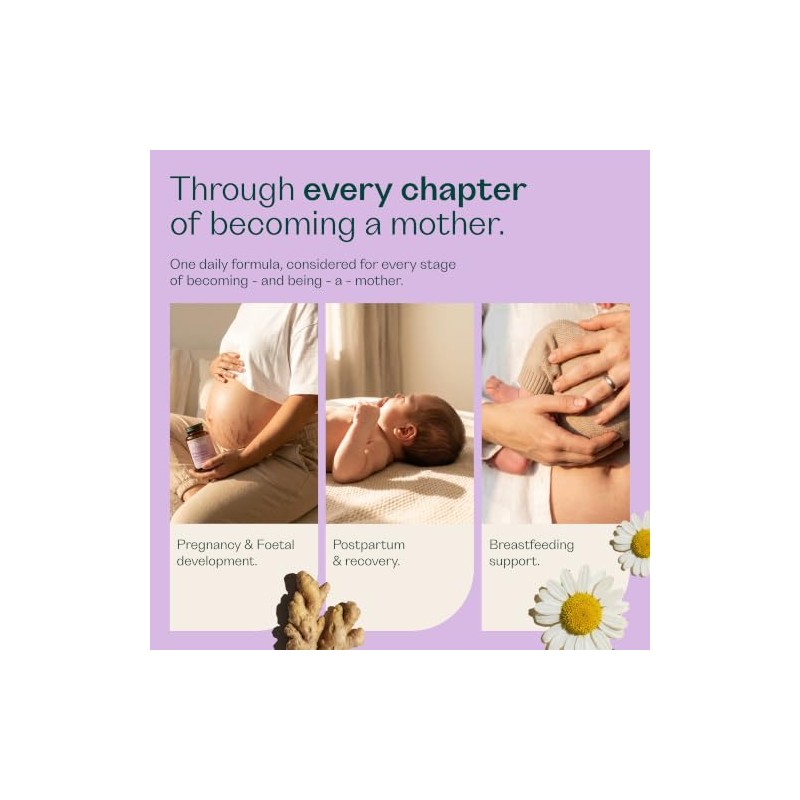 Rheal Pregnancy + New Mama Supplement - 60 Capsules