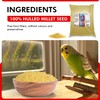 Morning Bird Hulled Millet 9 lbs – Nutritious Hulled Millet