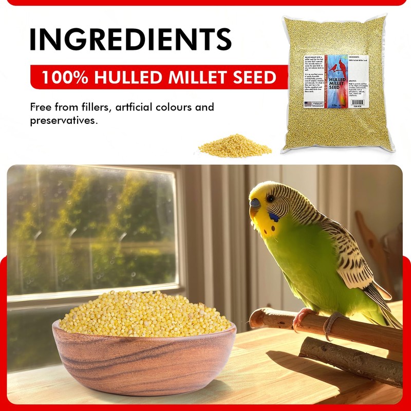 Morning Bird Hulled Millet 9 lbs – Nutritious Hulled Millet