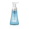 Method Foaming Hand Soap, Sea Minerals, Paraben and Phthalate Free,