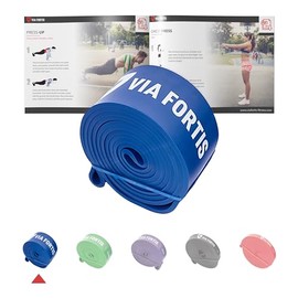 Via Fortis Premium Resistance Bands + Exercise Instructions and Bag - Resistance Bands, Pull-Up Band and Pull-Up Aid, Fitness Band, Training Bands for Fitness & Strength Training