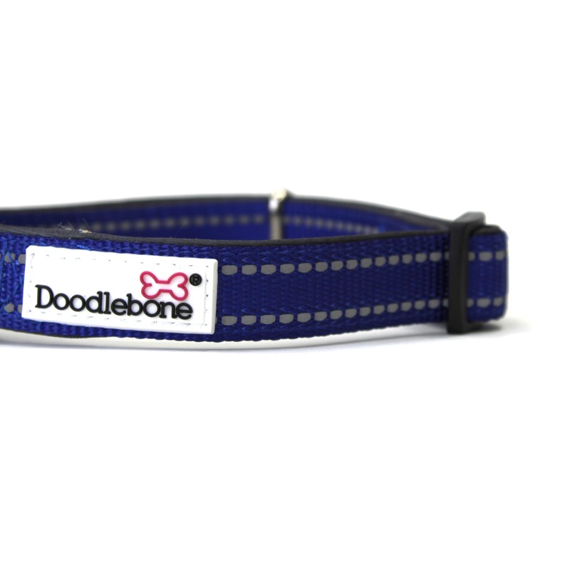 Doodlebone Padded Collar, Cobalt, 1-2