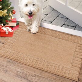 BEQHAUSE Door-Mat-Non-Slip Front Door Mat Washable Low-Profile Entrance Mats for Front Door Entry Dirt Trapper Door Mat Absorbent Welcome Mats,20"x32",Taupe
