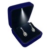 GBYAN Velvet Earring Box with LED Light, Stud Earring Gift