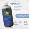 Shampoo Anti-Caspa Para Hombre Productos Mart Mexico 500 Ml
