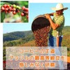 Cold Brew Coffee Bag, Daiginjo Brazil Galaxy Coffee (1.4 oz