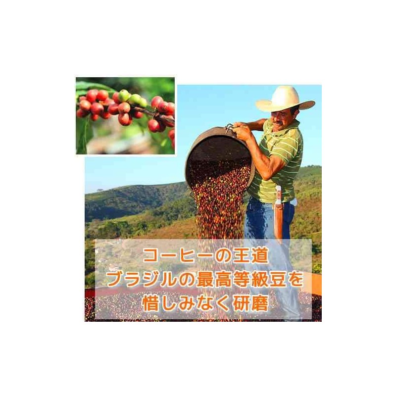 Cold Brew Coffee Bag, Daiginjo Brazil Galaxy Coffee (1.4 oz