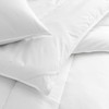 Martex Clean Essentials Pillow Set, Standard, White 2 Pieces