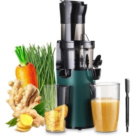 Sovider Slow Juicer Machine Masticating Cold Press Juicers Squeezer Vegetable Processor