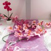 Santex Single-Coloured Decorative Fleece Table Runner, 5 M
