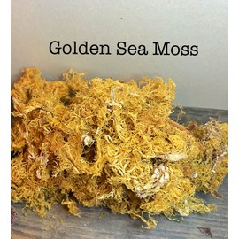 BCSW WILD CRAFTED Golden Dr Sebi Type Irish Sea Moss  Organic 3oz by weight.