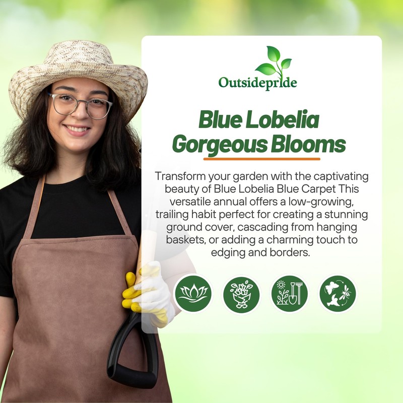 Outsidepride Blue Carpet Lobelia Seeds - 10000 Pcs Annual Ground