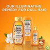 Garnier Whole Blends Illuminating Conditioner Moroccan Argan and Camellia Oils