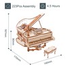 ROKR 3D Wooden Model Kits for Adults 3D Puzzles Magic