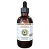 Bladderwrack Alcohol-Free Liquid Extract, Bladderwrack (Fucus Vesiculosus) Glycerite Hawaii Pharm
