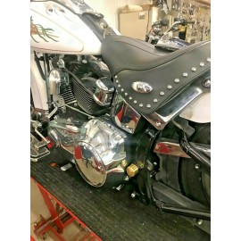 diycycleparts SOLID BRASS Swingarm Dome Pivot Bolt Covers Harley 2008 - 2017 Softail 2780