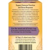 Yogi Tea Elderberry Lemon Balm Immune & Stress Tea -