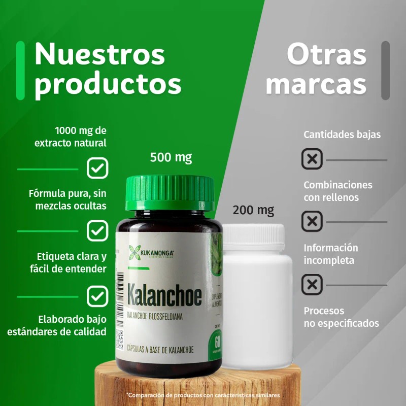 Kalanchoe - 60 Cpsulas Sin Sabor