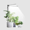 bodkar Plant Grow Light, Plant Lamp for Indoor Plants Growing,