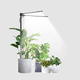 bodkar Plant Grow Light, Plant Lamp for Indoor Plants Growing, 6000K White Red Light for Succulents Mini Small Plants Growth (Without Timer/Dimming)