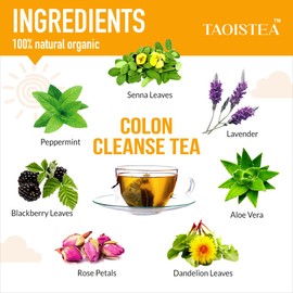 TAOISTEA Colon Cleanse Tea, Herbal Tea Blend with Senna, Peppermint, Dandelion Aloe Vera, Improve Digestive Health and Gental Gut Cleanse - 14 Bags