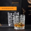Nachtmann Dancing Stars Bossa Nova Collection Whiskey Tumblers | Set