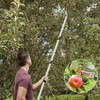 Quoddify 2 in 1 Tree Pruner & Pole Saws for