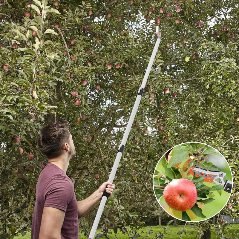 Quoddify 2 in 1 Tree Pruner & Pole Saws for